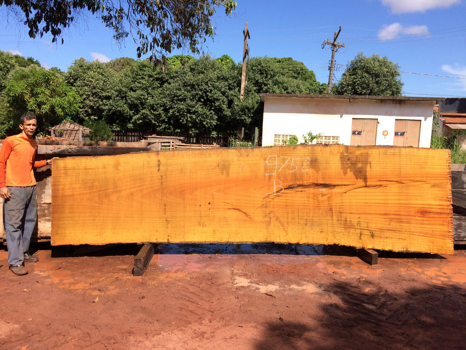 Tatajuba #9752 - 2-3/4" x 40" to 55" x 206" FREE SHIPPING within the Contiguous US. freeshipping - Big Wood Slabs