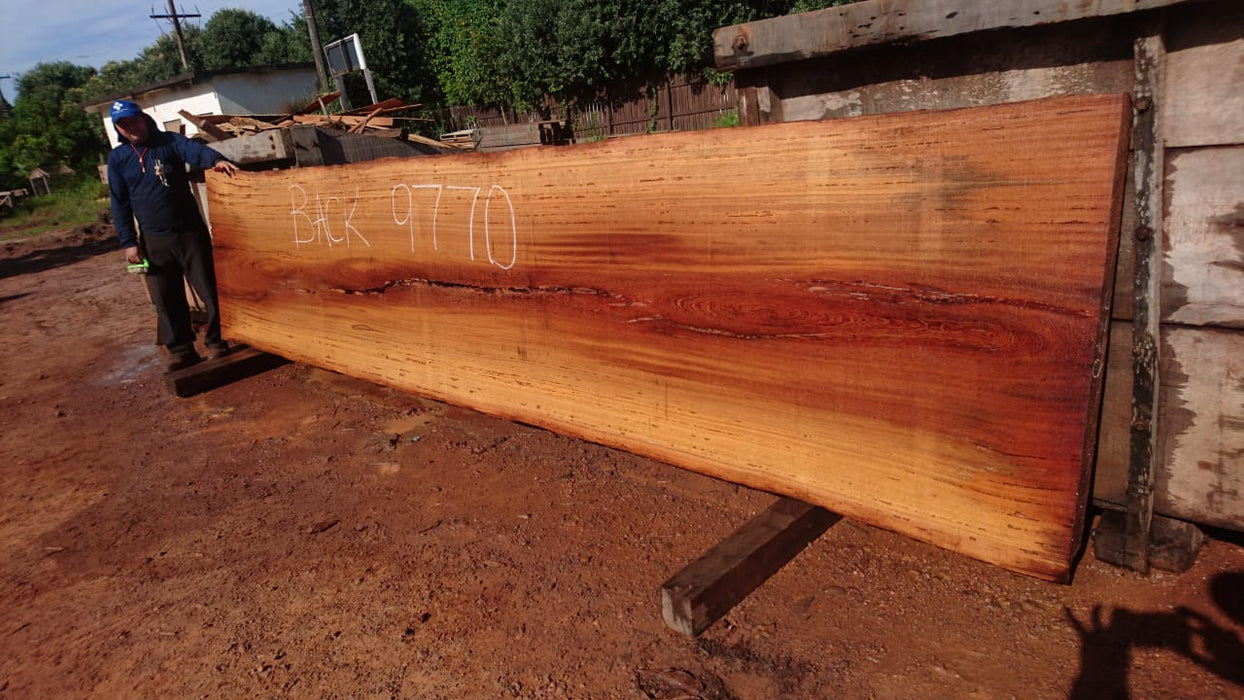 Angelim Pedra # 9770 - 3-1/8" x 39" x 191" FREE SHIPPING within the Contiguous US. freeshipping - Big Wood Slabs