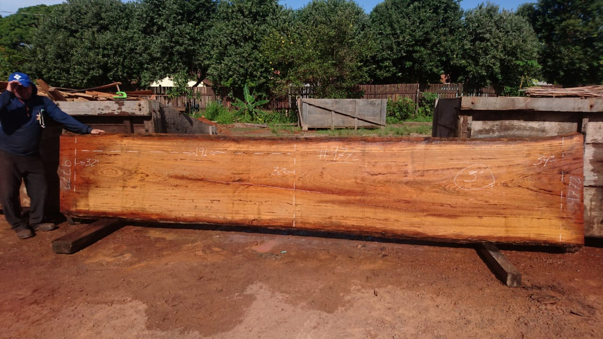 Angelim Pedra # 9772 - 3" x 32" to 34" x 191" FREE SHIPPING within the Contiguous US. freeshipping - Big Wood Slabs