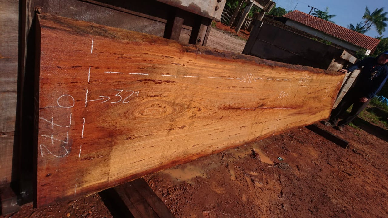 Angelim Pedra # 9772 - 3" x 32" to 34" x 191" FREE SHIPPING within the Contiguous US. freeshipping - Big Wood Slabs