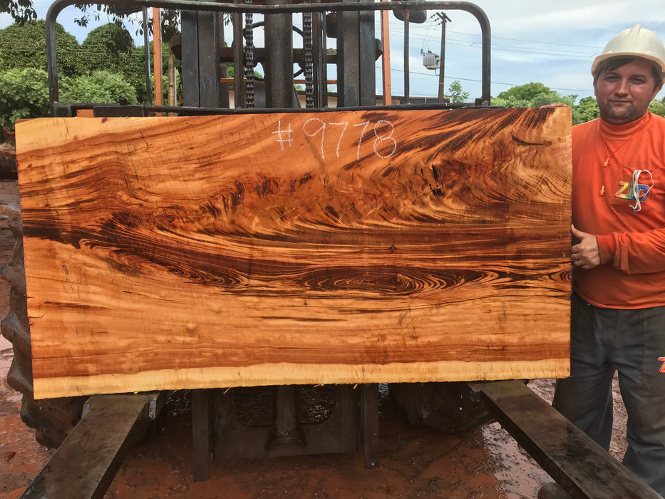 Goncalo Alves / Tigerwood #9778- 2-3/8" x 32" to 33" x 64" FREE SHIPPING within the Contiguous US. freeshipping - Big Wood Slabs