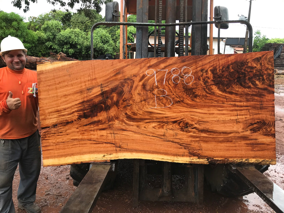 Goncalo Alves / Tigerwood #9788- 2-3/8" x 32" to 34" x 75" FREE SHIPPING within the Contiguous US. freeshipping - Big Wood Slabs