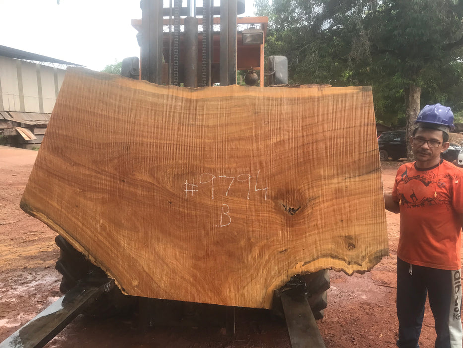 Pequiá  #9794- 2-1/4 x 34" to 50" x 74" to 91" FREE SHIPPING within the Contiguous US. freeshipping - Big Wood Slabs