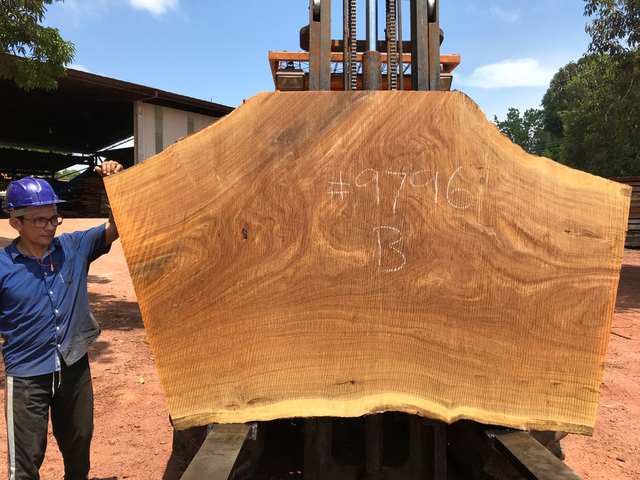 Pequiá  #9796- 2-1/4 x 41" to 55" x 68" to 90" FREE SHIPPING within the Contiguous US. freeshipping - Big Wood Slabs