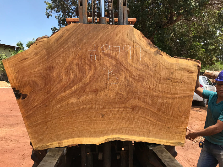 Pequiá  #9797- 2-1/4 x 37" to 52" x 69" to 90" FREE SHIPPING within the Contiguous US. freeshipping - Big Wood Slabs