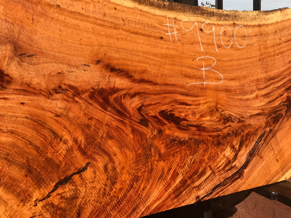 Goncalo Alves / Tigerwood #9900 - 2-1/8" x 34" to 36" x 66" FREE SHIPPING within the Contiguous US. freeshipping - Big Wood Slabs
