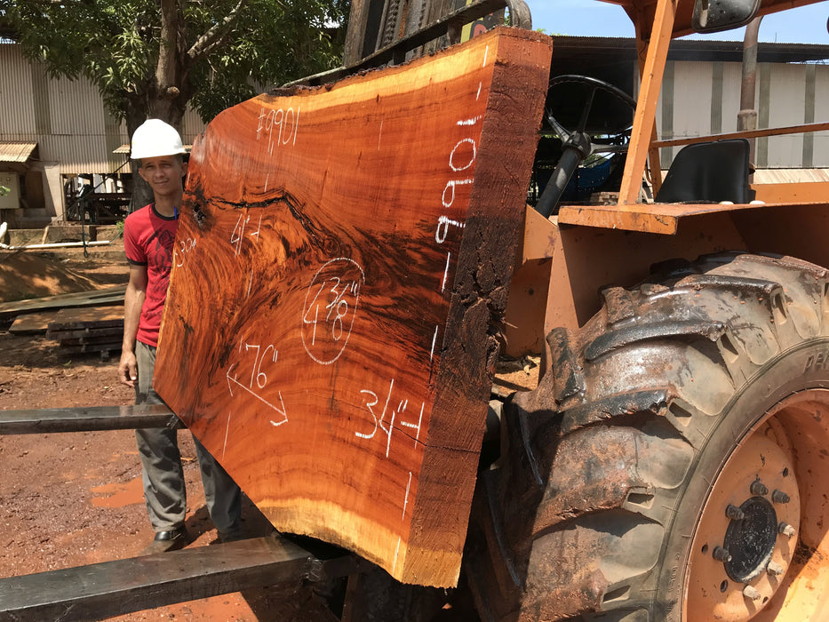 Goncalo Alves / Tigerwood #9901 - 4-3/8" x 34" to 41" x 76" FREE SHIPPING within the Contiguous US. freeshipping - Big Wood Slabs
