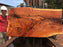 Goncalo Alves / Tigerwood #9901 - 4-3/8" x 34" to 41" x 76" FREE SHIPPING within the Contiguous US. freeshipping - Big Wood Slabs