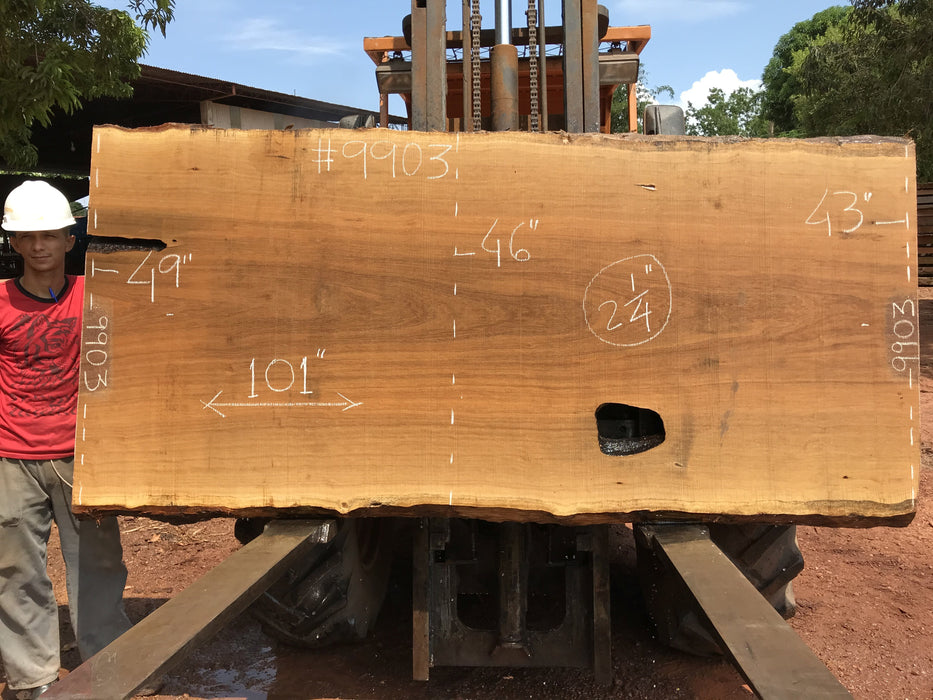 Pequiá  #9903- 2-1/4 x 43" to 49" x 101" FREE SHIPPING within the Contiguous US. freeshipping - Big Wood Slabs