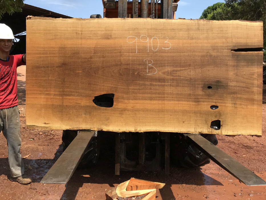 Pequiá  #9903- 2-1/4 x 43" to 49" x 101" FREE SHIPPING within the Contiguous US. freeshipping - Big Wood Slabs