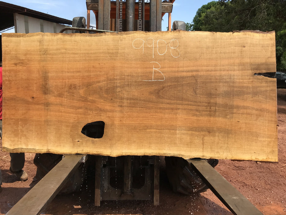 Pequiá  #9908- 2-1/4 x 37" to 48" x 100" FREE SHIPPING within the Contiguous US. freeshipping - Big Wood Slabs