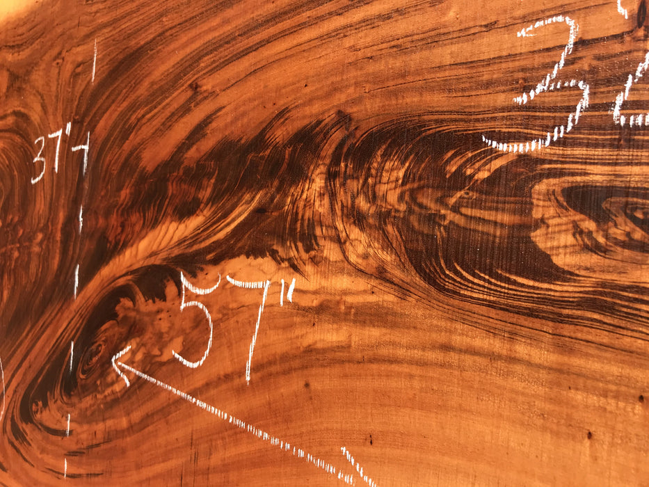 Goncalo Alves / Tigerwood #9921- 2" x 32" to 37" x 57" FREE SHIPPING within the Contiguous US. freeshipping - Big Wood Slabs