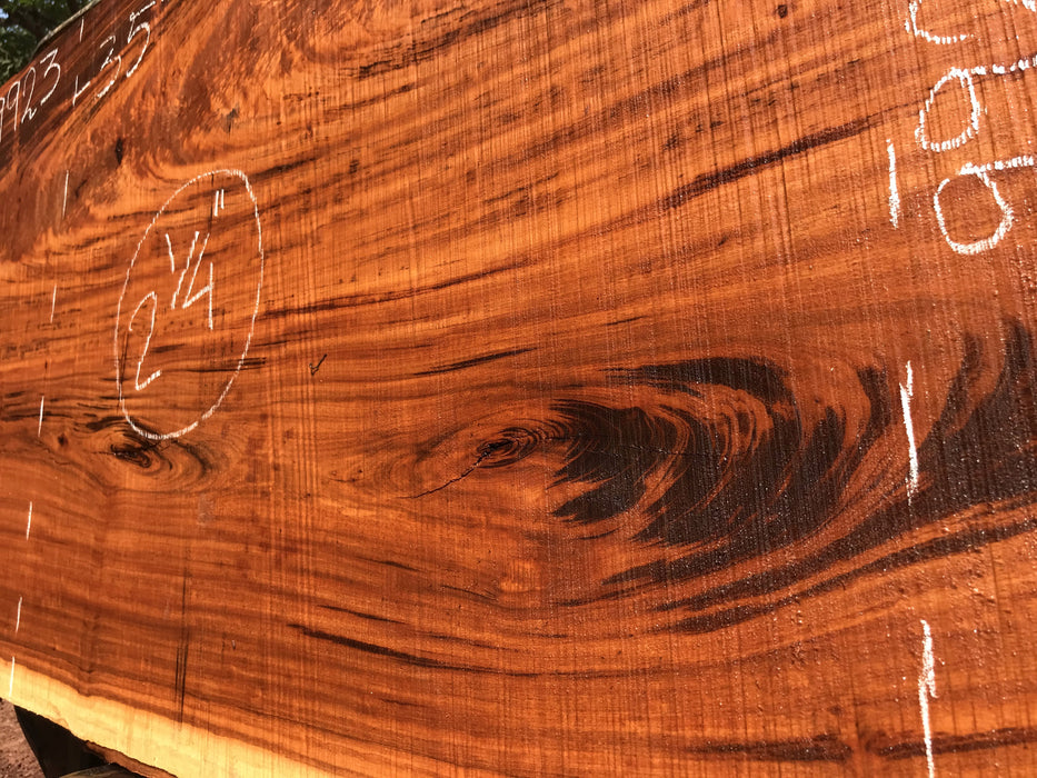 Goncalo Alves / Tigerwood #9923- 2-1/4" x 35" x 96" FREE SHIPPING within the Contiguous US. freeshipping - Big Wood Slabs