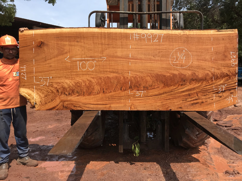 Goncalo Alves / Tigerwood #9927- 2-1/4" x 37" x 100" FREE SHIPPING within the Contiguous US. freeshipping - Big Wood Slabs
