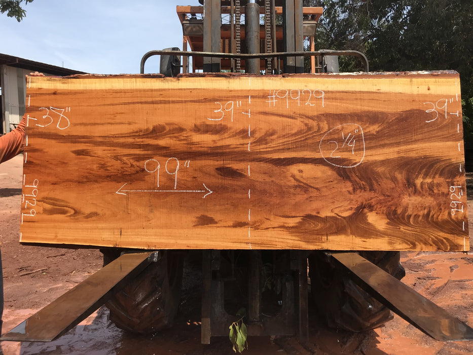 Goncalo Alves / Tigerwood #9929- 2-1/4" x 38" to 39" x 99" FREE SHIPPING within the Contiguous US. freeshipping - Big Wood Slabs
