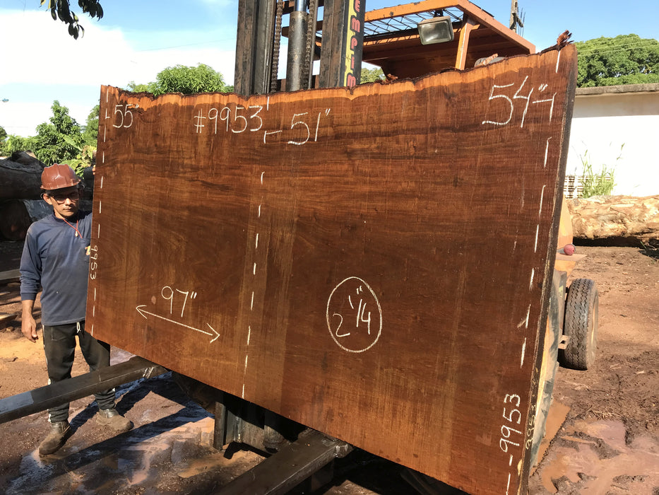 Ipe / Brazilian Walnut #9953 - 2-1/4" x 51" to 55" x 97" FREE SHIPPING within the Contiguous US. freeshipping - Big Wood Slabs