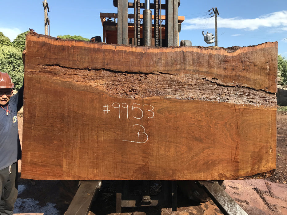 Ipe / Brazilian Walnut #9953 - 2-1/4" x 51" to 55" x 97" FREE SHIPPING within the Contiguous US. freeshipping - Big Wood Slabs
