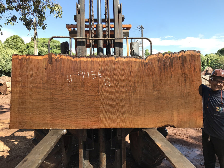 Ipe / Brazilian Walnut #9956 - 2-1/4" x 35" to 39" x 96" FREE SHIPPING within the Contiguous US. freeshipping - Big Wood Slabs