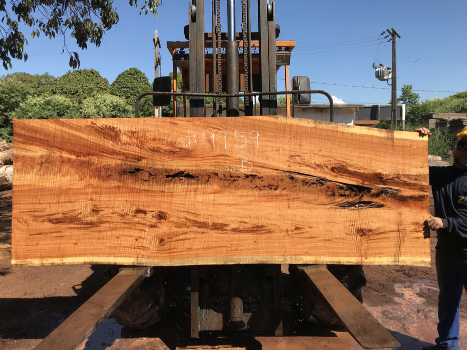 Goncalo Alves / Tigerwood #9959 - 2-1/4" x 34" to 39" x 110" FREE SHIPPING within the Contiguous US. freeshipping - Big Wood Slabs