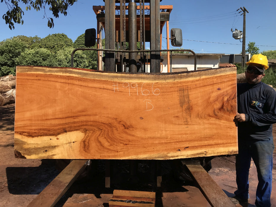 Goncalo Alves / Tigerwood #9966 - 2-1/4" x 36" to 39" x 92" FREE SHIPPING within the Contiguous US. freeshipping - Big Wood Slabs