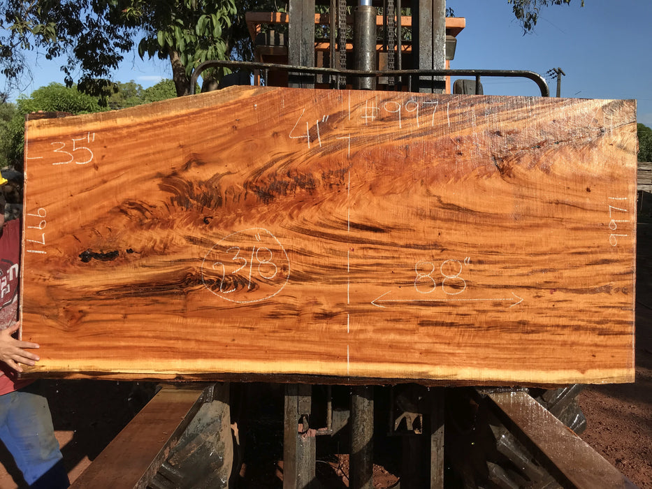 Goncalo Alves / Tigerwood #9971- 2-3/8" x 35" to 41" x 88" FREE SHIPPING within the Contiguous US. freeshipping - Big Wood Slabs