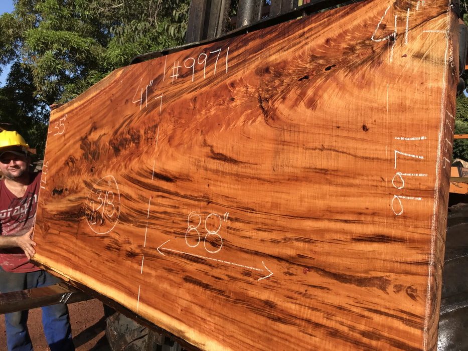 Goncalo Alves / Tigerwood #9971- 2-3/8" x 35" to 41" x 88" FREE SHIPPING within the Contiguous US. freeshipping - Big Wood Slabs