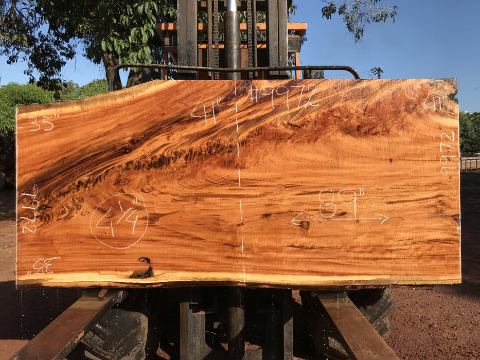 Goncalo Alves / Tigerwood #9972- 4-1/2" x 35" to 41" x 89" FREE SHIPPING within the Contiguous US. freeshipping - Big Wood Slabs