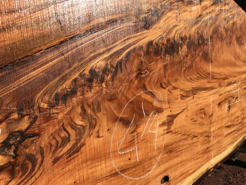 Goncalo Alves / Tigerwood #9972- 4-1/2" x 35" to 41" x 89" FREE SHIPPING within the Contiguous US. freeshipping - Big Wood Slabs