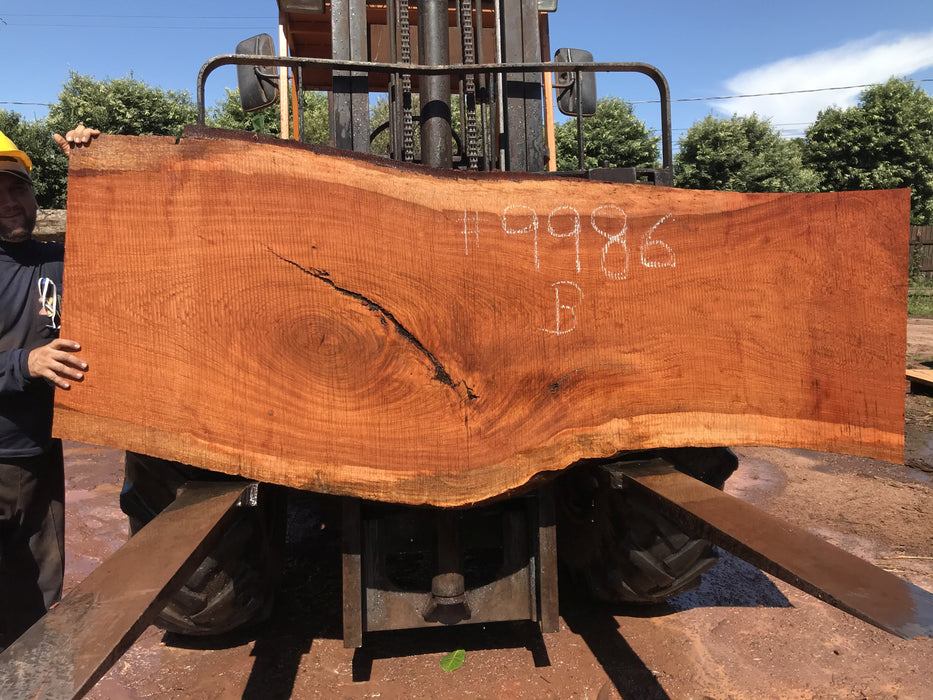 Jatoba / Brazilian #9986 – 2-1/4″ x 28″ to 35″ x  94" FREE SHIPPING within the Contiguous US. freeshipping - Big Wood Slabs