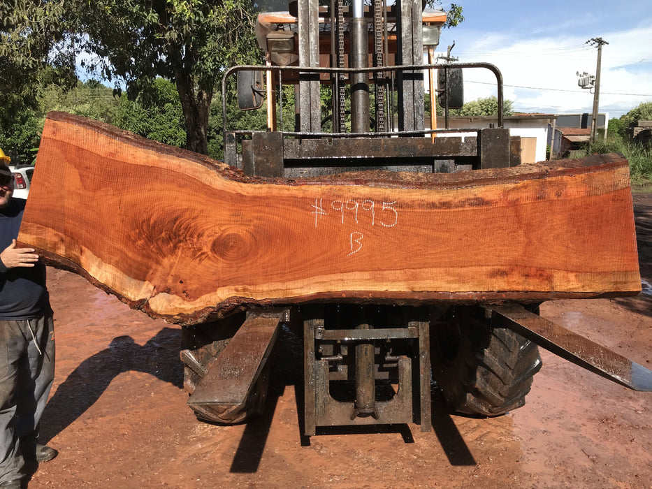 Jatoba / Brazilian #9995 –2-1/4″ x 22″ to 31″ x  109" to 117" FREE SHIPPING within the Contiguous US. freeshipping - Big Wood Slabs