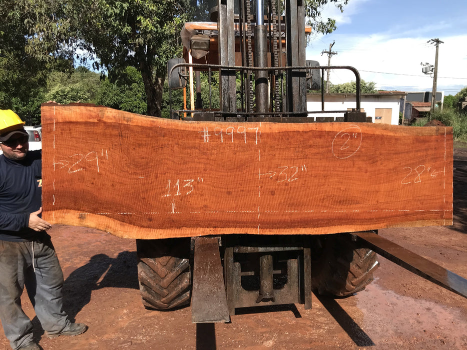 Jatoba / Brazilian #9997 –2″ x 28″ to 32″ x  113" FREE SHIPPING within the Contiguous US. freeshipping - Big Wood Slabs