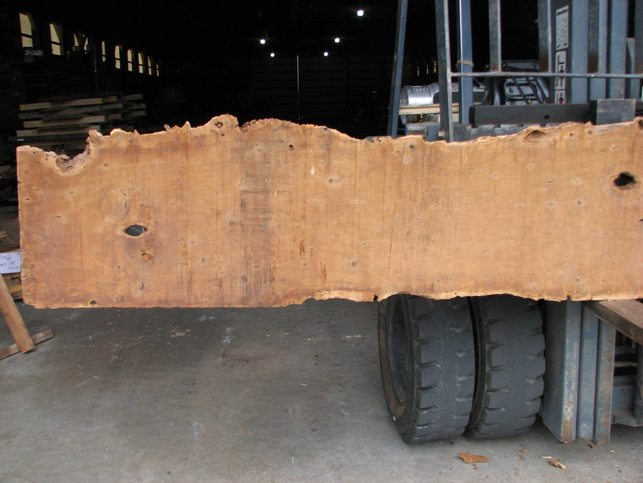 Ipe / Brazilian Walnut #3751 - 2-1/4" x 17" x 169" FREE SHIPPING within the Contiguous US. freeshipping - Big Wood Slabs