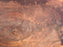 Walnut, American #7289(OC) 2-1/4" x 28" x 33" x 99"- FREE SHIPPING within the Contiguous US. freeshipping - Big Wood Slabs