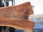 Walnut, American #7286(OC) 3-1/4" x 30-1/4" x 53" x 117"- FREE SHIPPING within the Contiguous US. freeshipping - Big Wood Slabs