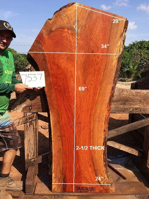 Jatoba / Brazilian Cherry #7537- 2-1/2" x 24" to 34" x 69" FREE SHIPPING within the Contiguous US. freeshipping - Big Wood Slabs