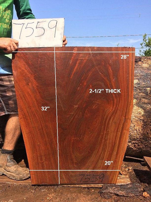 Ipe / Brazilian Walnut #7559 - 2-1/2" x 20" to 28" x 32" FREE SHIPPING within the Contiguous US. freeshipping - Big Wood Slabs