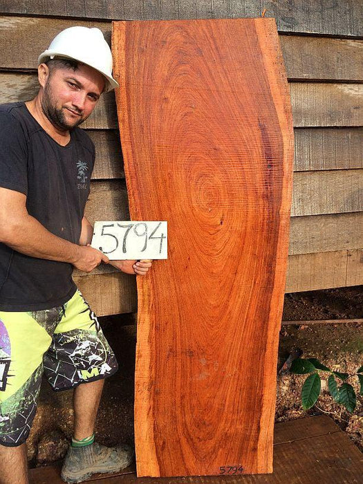 Jatoba / Brazilian Cherry #5794- 2" x 21" to 24" x 67" FREE SHIPPING within the Contiguous US. freeshipping - Big Wood Slabs
