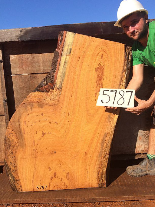 Angelim Pedra #5787 - 2" x 19" to 33" x 49" FREE SHIPPING within the Contiguous US. freeshipping - Big Wood Slabs