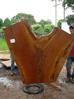 Quaruba #2347(LW) - 2-1/2" x 39" to 85" x 72" FREE SHIPPING within the Contiguous US. freeshipping - Big Wood Slabs