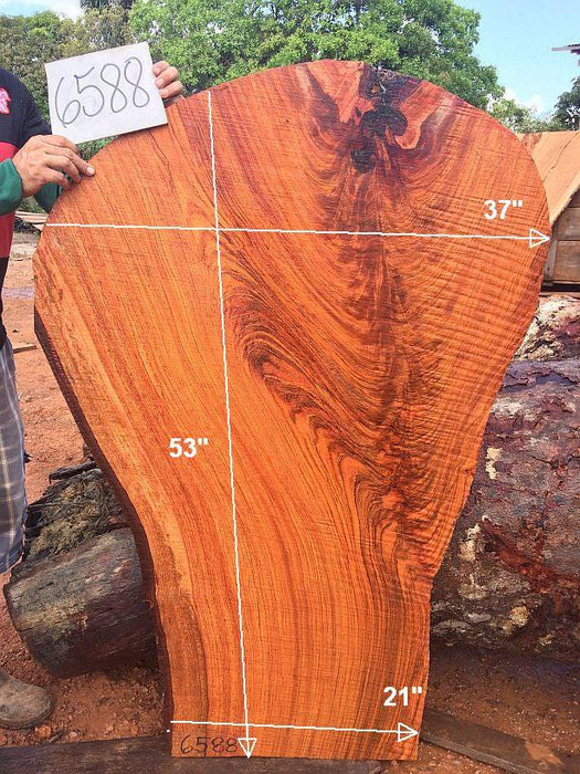 Jatoba / Brazilian Cherry #6588- 2-1/2" x 21" to 37" x 53" FREE SHIPPING within the Contiguous US. freeshipping - Big Wood Slabs