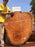 Angelim Pedra #6553- 2-1/4" x 41" x 48" FREE SHIPPING within the Contiguous US. freeshipping - Big Wood Slabs
