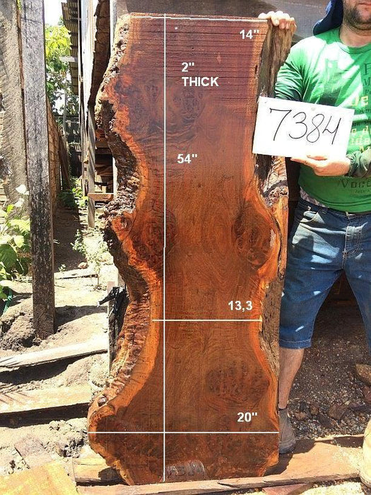 Ipe / Brazilian Walnut #7384 - 2" x 13" to 20" x 54" FREE SHIPPING within the Contiguous US. freeshipping - Big Wood Slabs