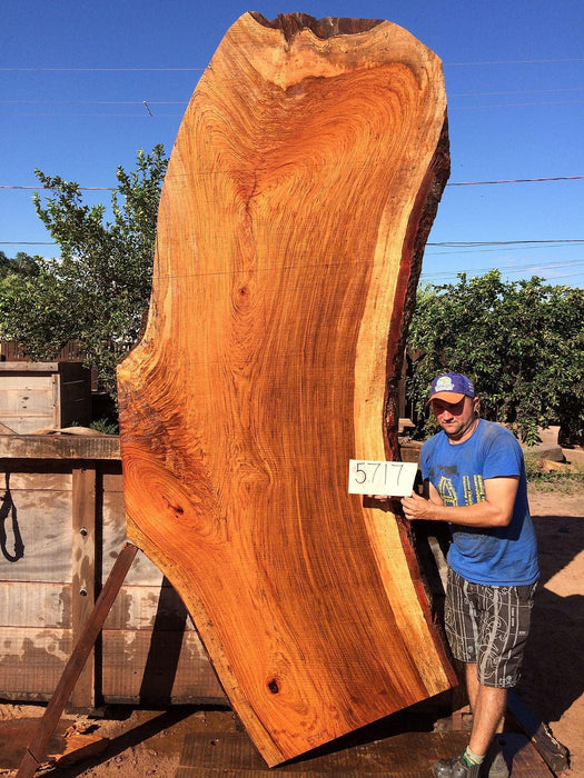 Jatoba / Brazilian Cherry #5717- 2-1/2″ x 32″ - 43″ x 120″ FREE SHIPPING within the Contiguous US. freeshipping - Big Wood Slabs