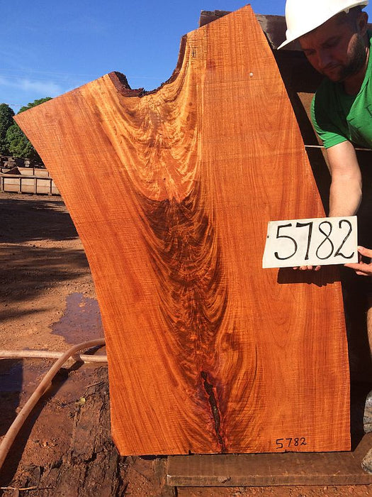 Angelim Pedra #5782 - 2-1/2" x 28" to 30" x 48" FREE SHIPPING within the Contiguous US. freeshipping - Big Wood Slabs