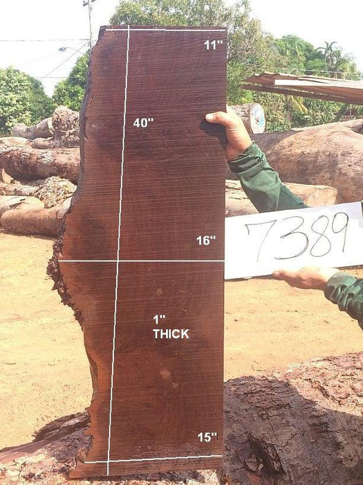 Ipe / Brazilian Walnut #7389 - 1" x 11" to 16" x 40" FREE SHIPPING within the Contiguous US. freeshipping - Big Wood Slabs
