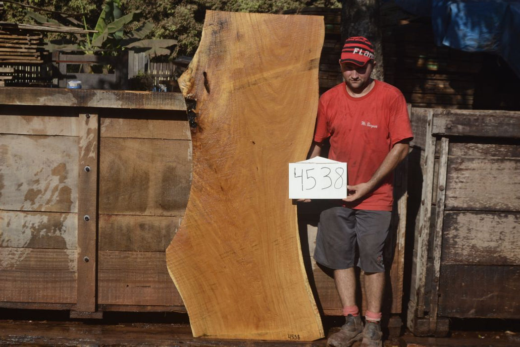 Tatajuba #4538 - 3-1/2" x 22" to 28" x 68" FREE SHIPPING within the Contiguous US. freeshipping - Big Wood Slabs